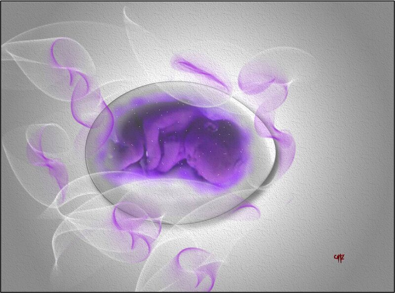 Fetus in Amniotic Sac — Purple