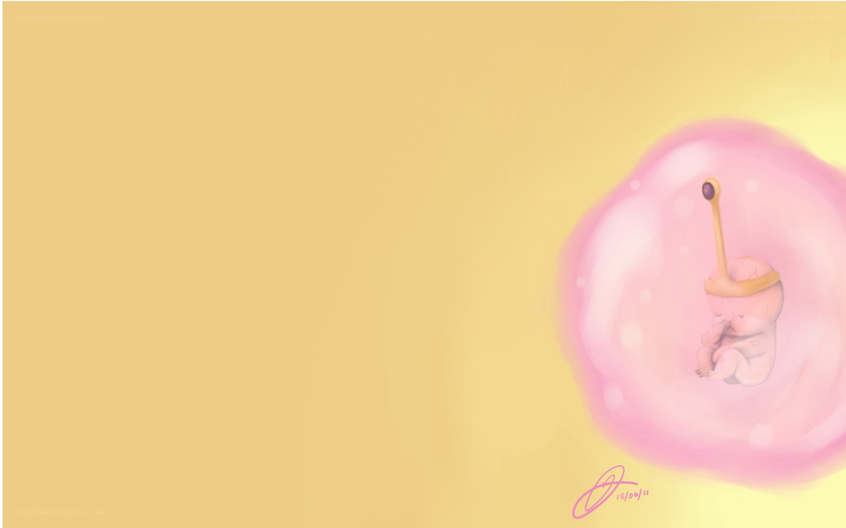 fetus in amniotic sac
