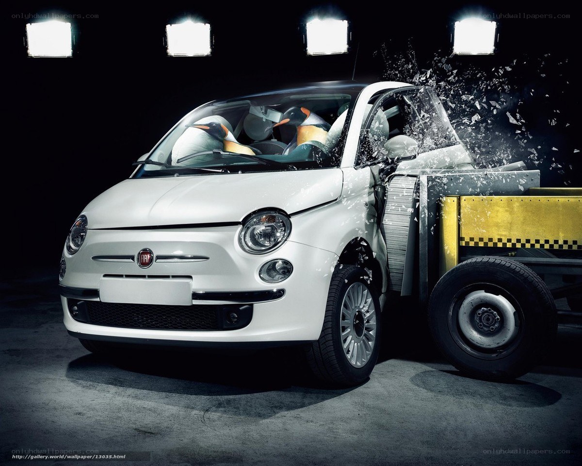 Fiat 500 crash test with penguins