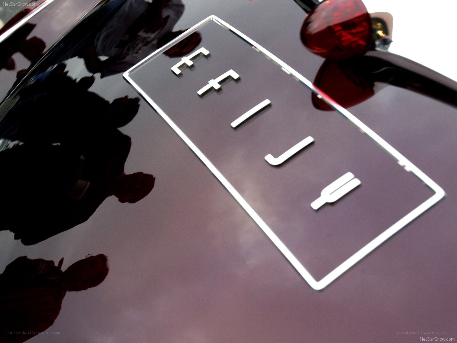 Fiat logo on car trunk