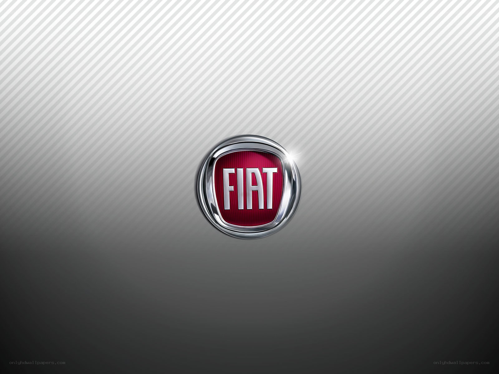 Fiat logo on textured background