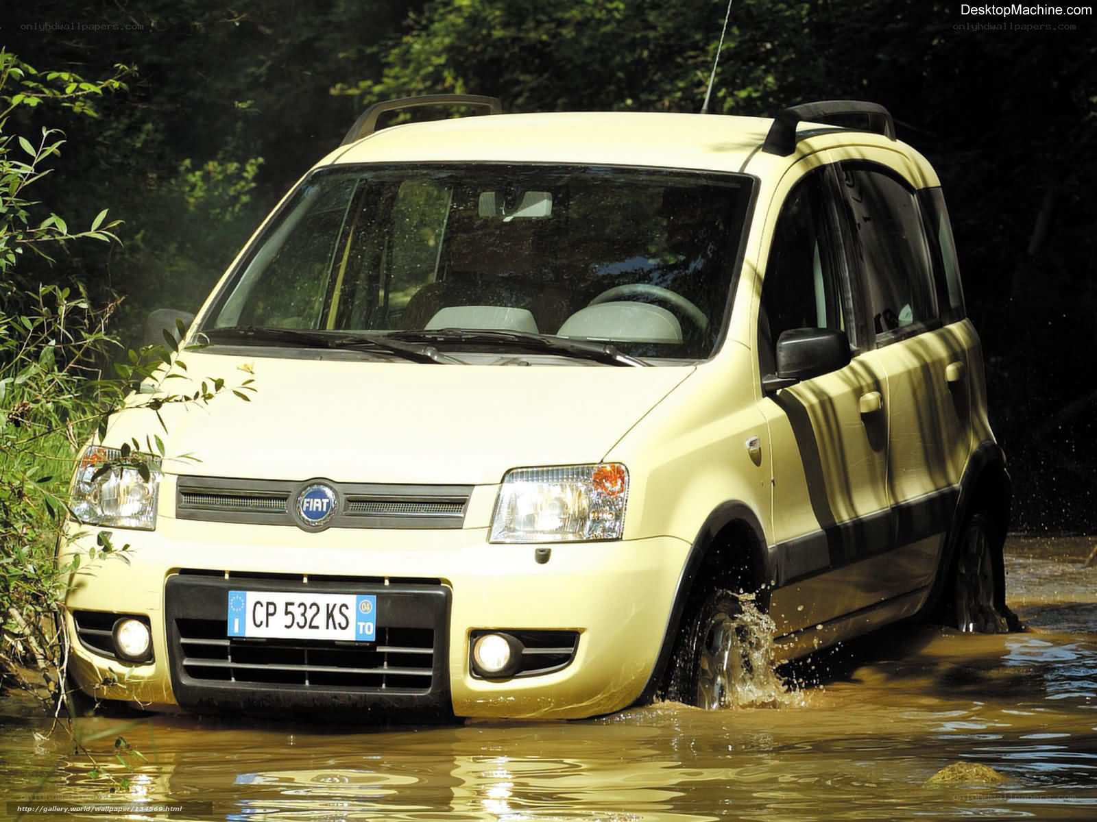 Fiat Panda driving through water