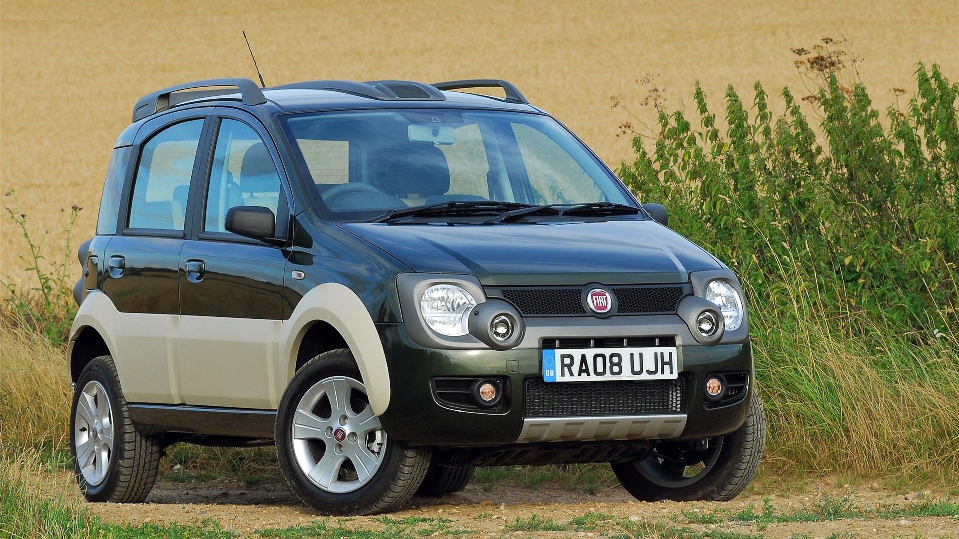 Fiat Panda in a field