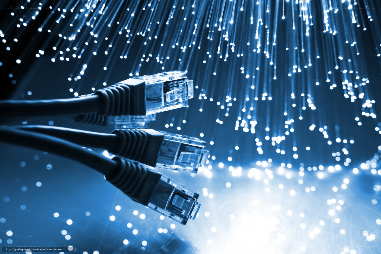 Fiber optic cables and network connections
