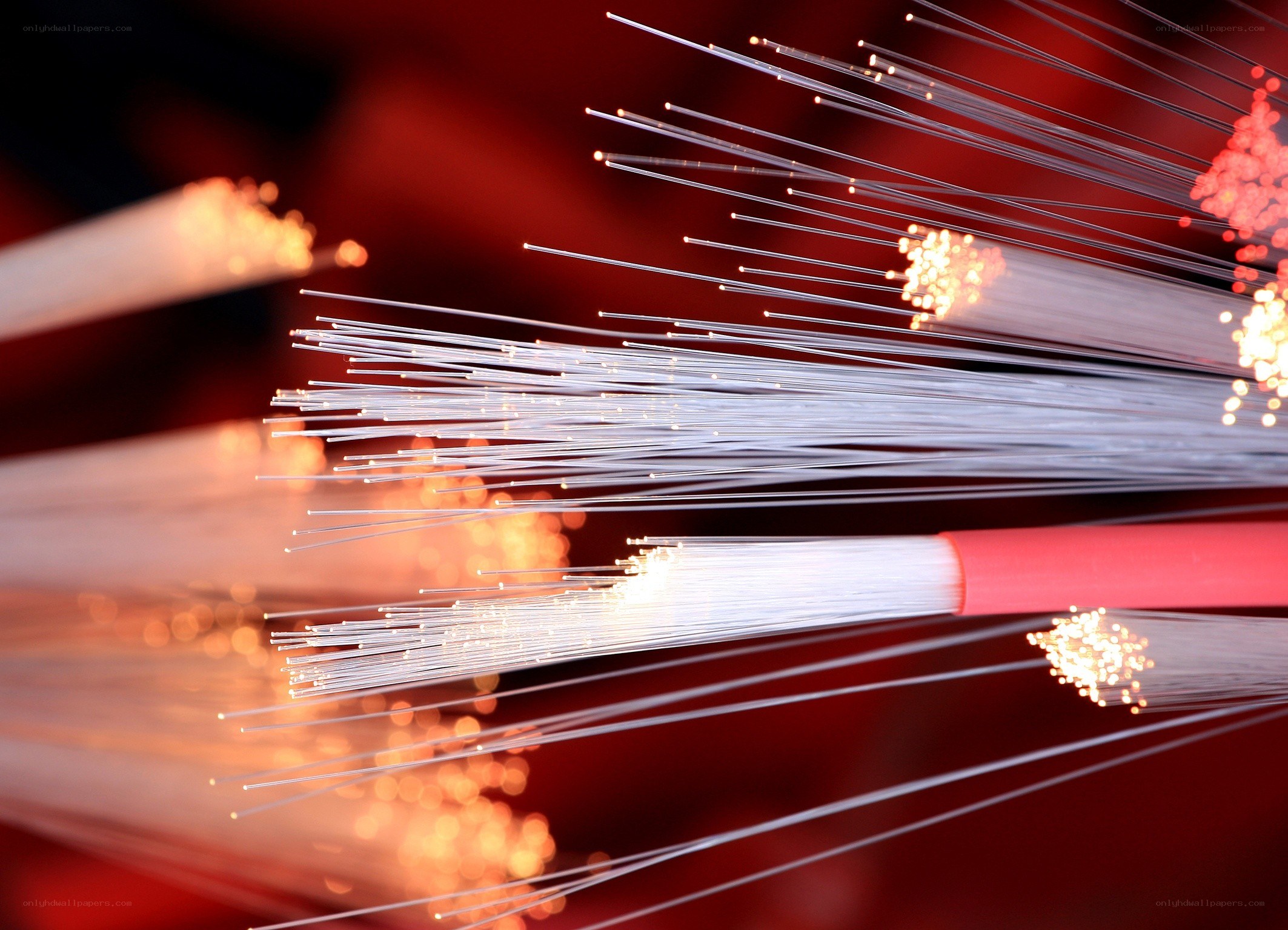 fiber optic cables glowing