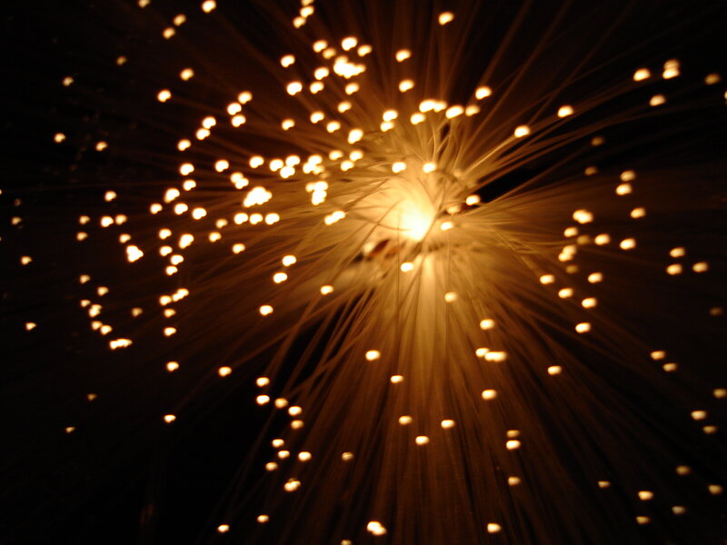 Fiber Optic Light Strands — Black
