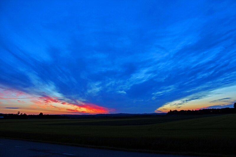 Field at Dusk