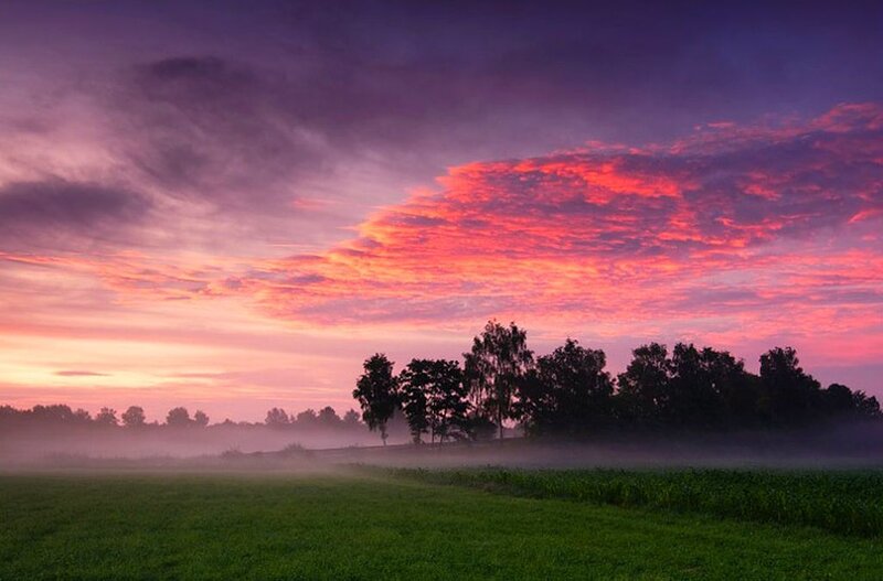 Field at Sunrise