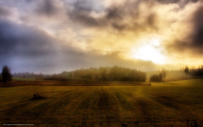 Field at Sunrise — Yellow