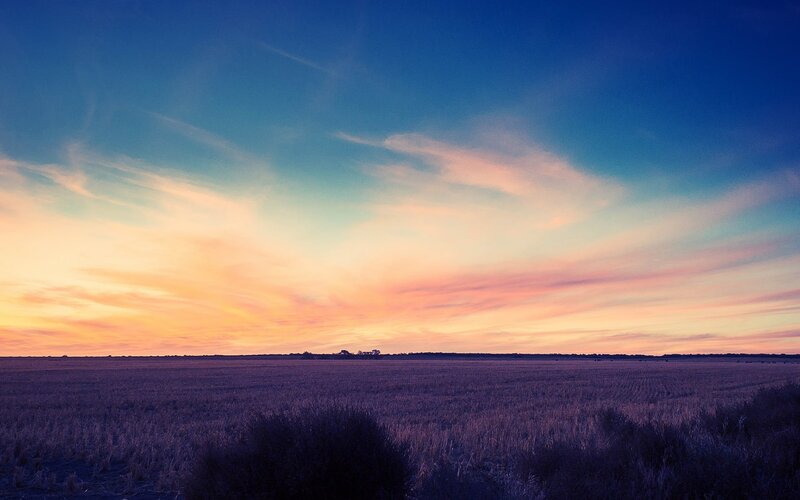 Field at Sunset — Blue, Serene