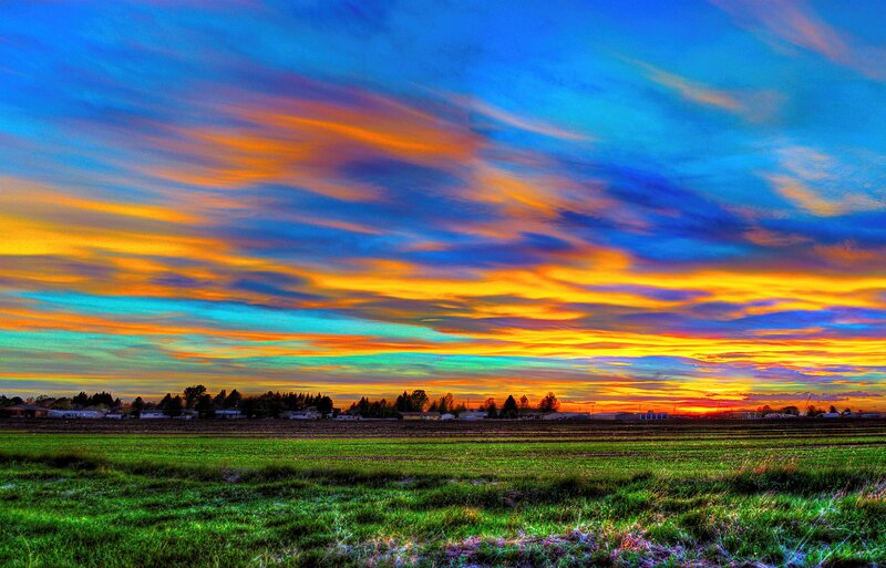 Field at Sunset — Blue