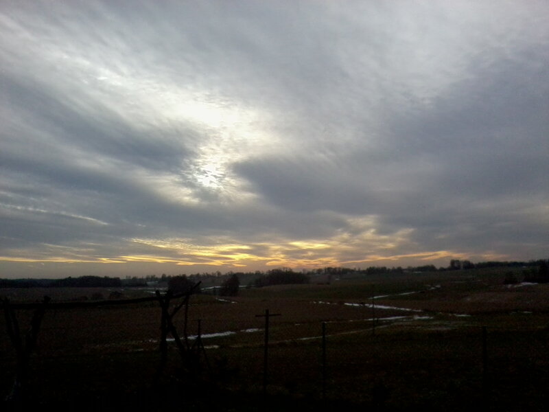 Field at Sunset — Gray