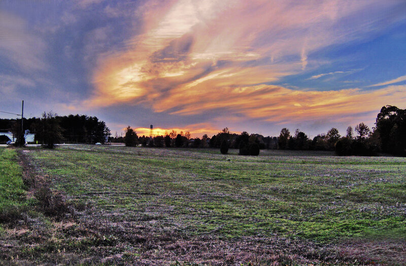 Field at Sunset