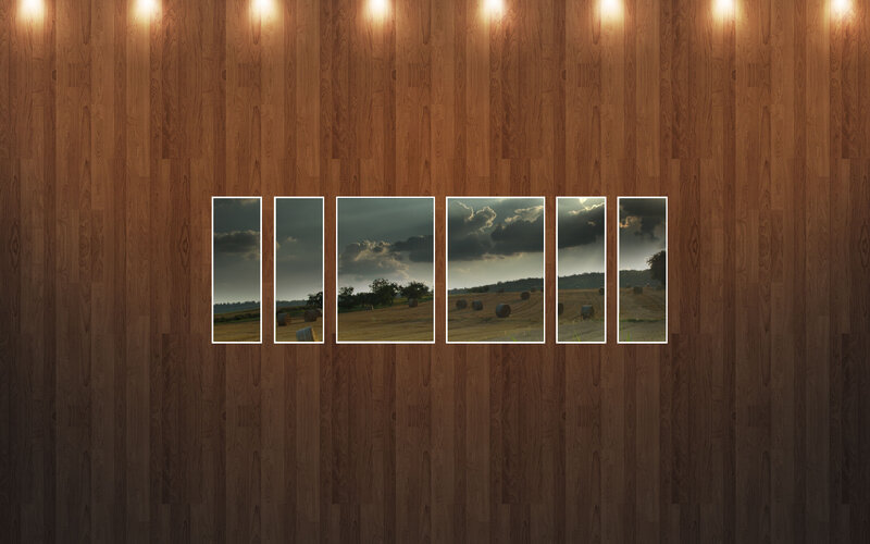 Field landscape collage