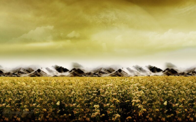 Field of Flowers and Mountains — Yellow, Serene