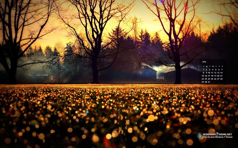 Field of Flowers at Sunset