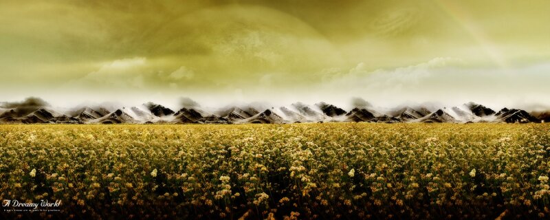 Field of Flowers with Mountains — Yellow