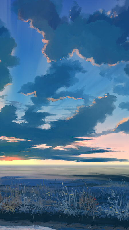 Field of Grass under Sky