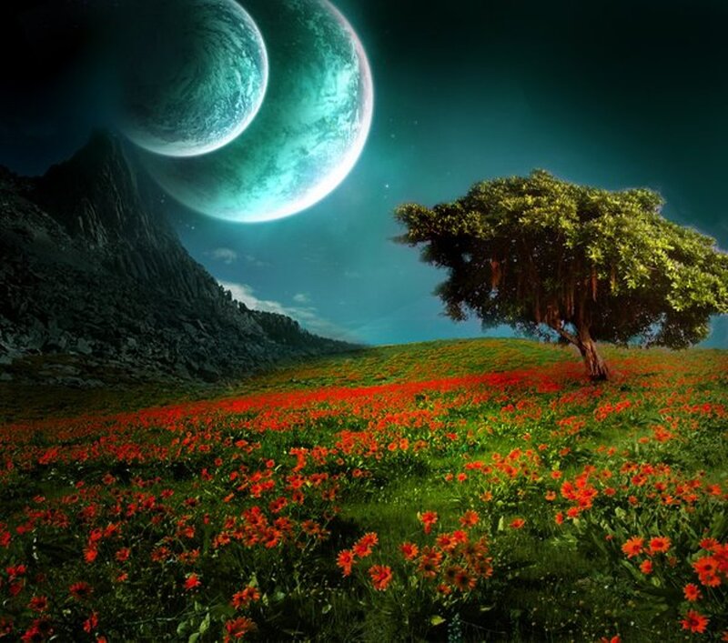Field of Red Flowers — Green