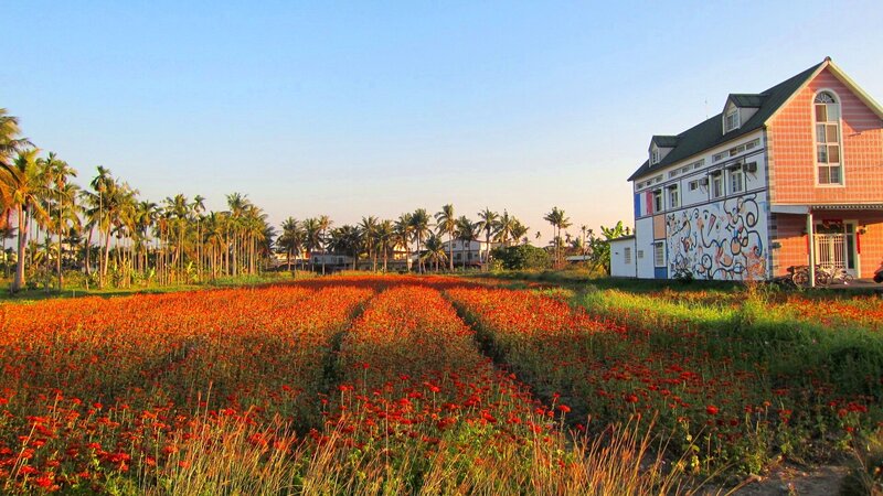 Field of Red Flowers — Serene