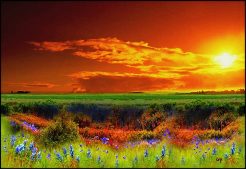 Field of Wildflowers at Sunset — Orange