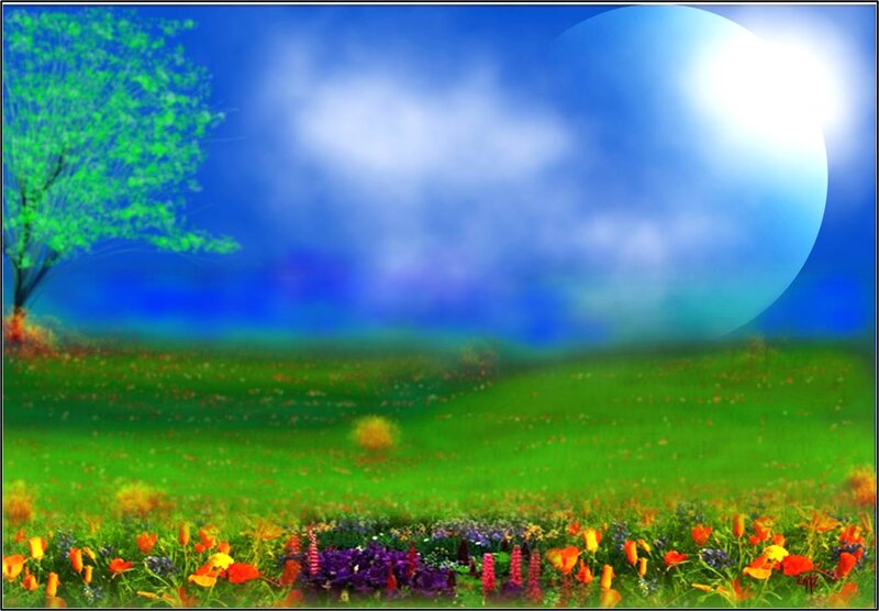 Field of Wildflowers — Green, Serene, Night