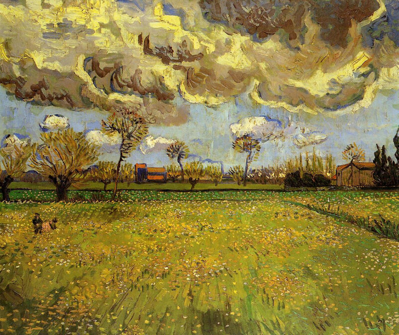 Field of Yellow Flowers — Dramatic