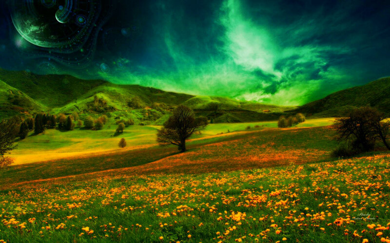 Field of Yellow Flowers — Green, Dramatic
