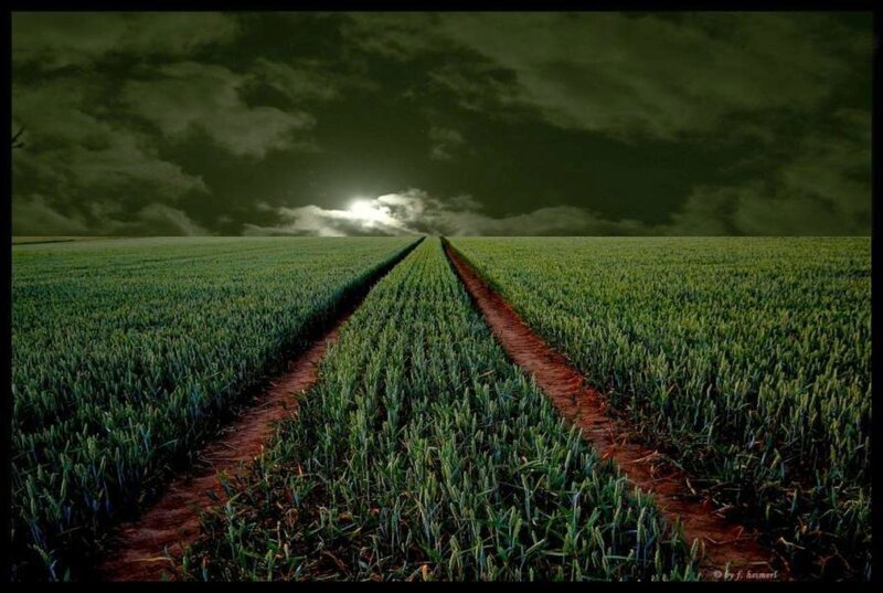 Field path under dark sky