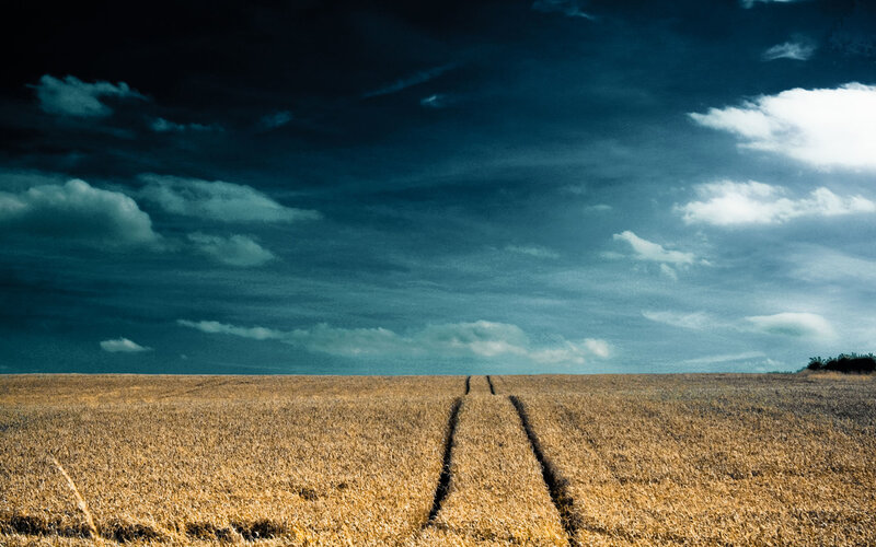 Field path under stormy sky