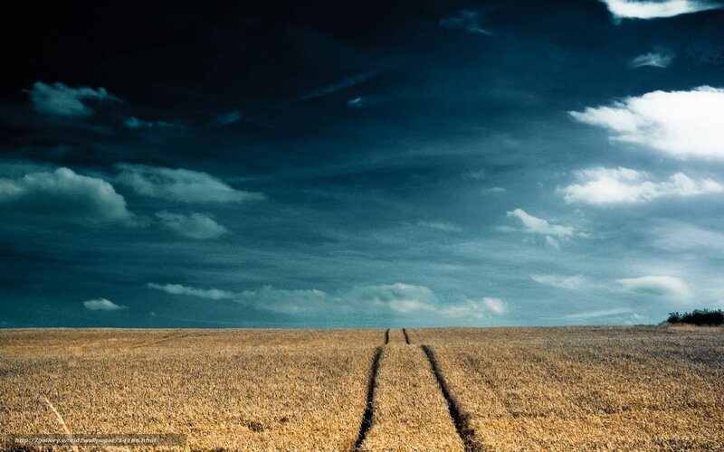 Field path under stormy sky