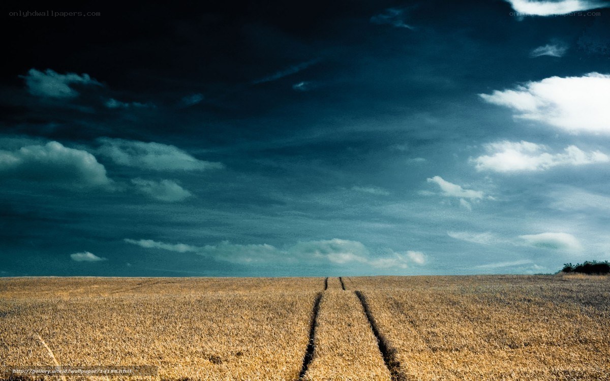 Field path under stormy sky