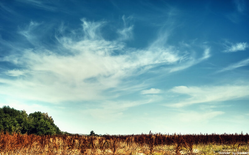 Field under a cloudy sky