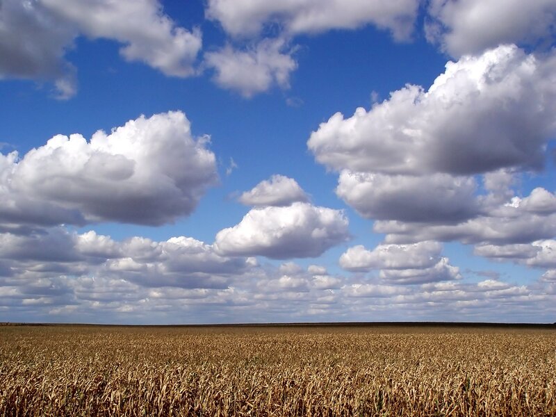 Field under cloudy sky