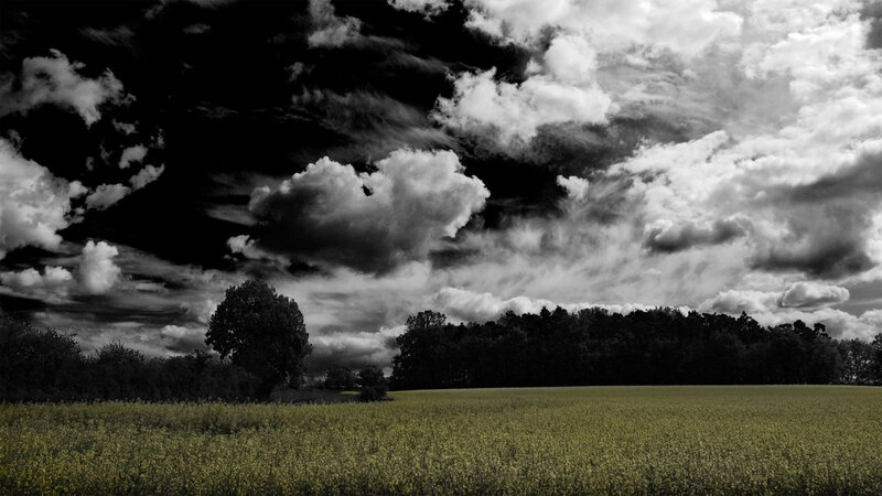Field under Cloudy Sky — Black