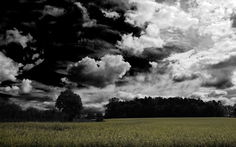 Field under Cloudy Sky — Green, Dramatic