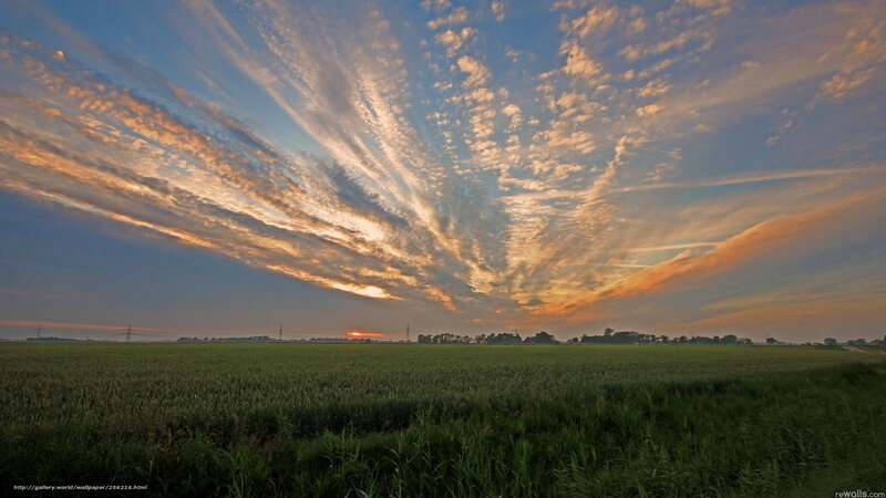 Field under Cloudy Sky — Green, Serene