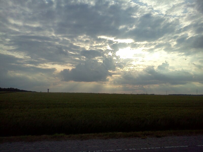 Field under Cloudy Sky — Green