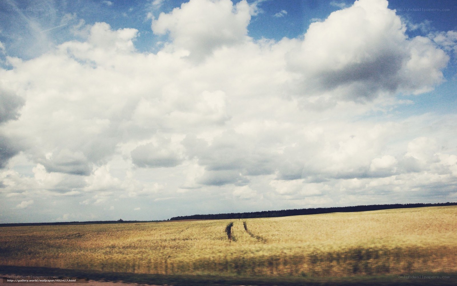 Field under cloudy sky