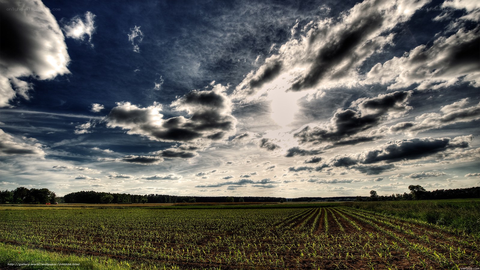 Field under dramatic sky