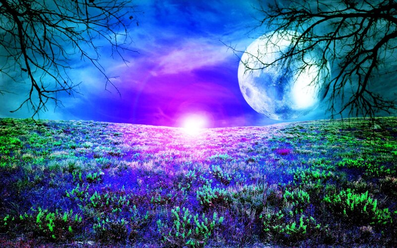 Field under Glowing Moon