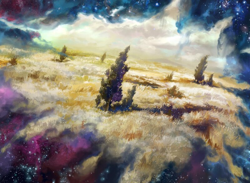 Field under Starry Sky
