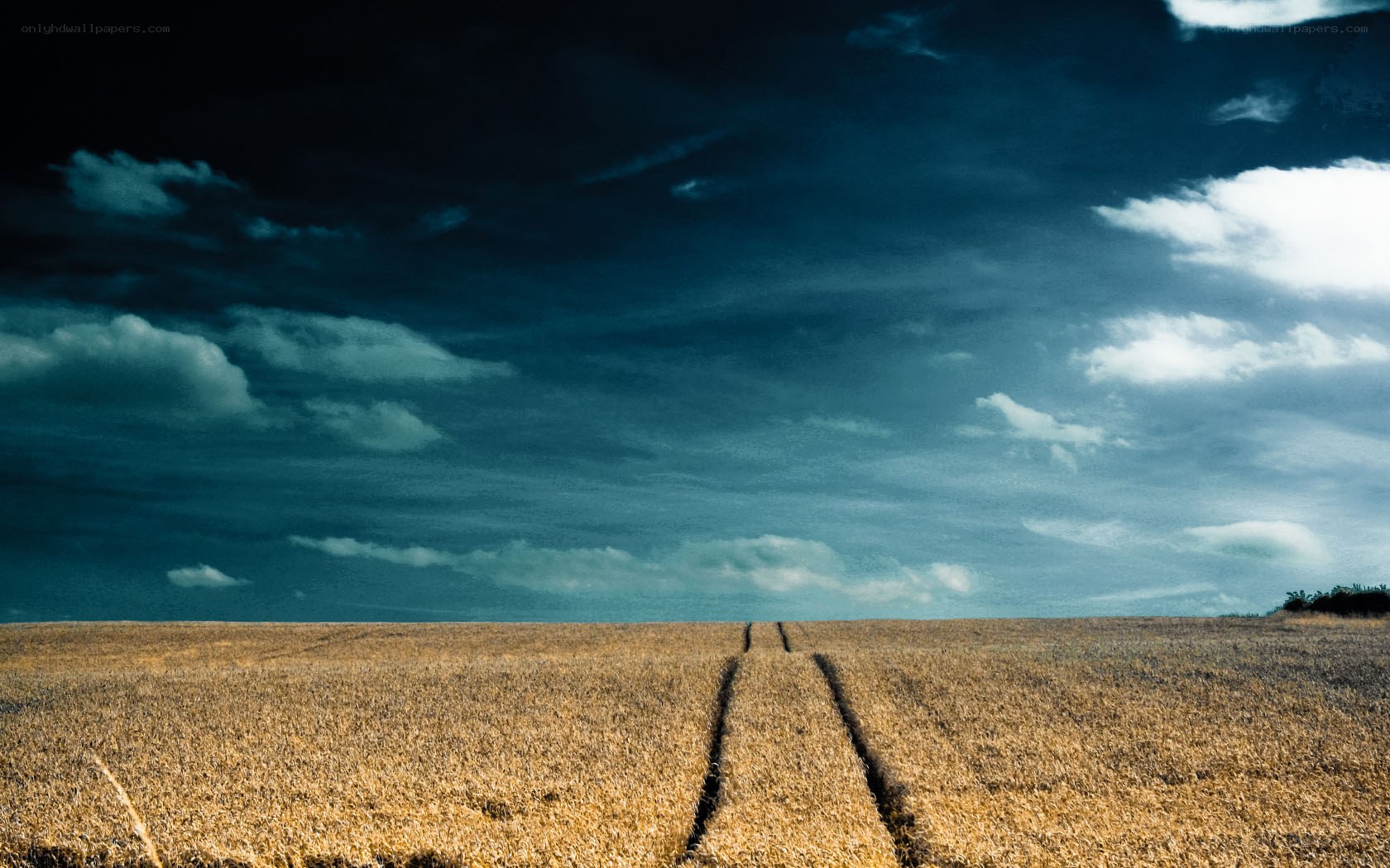Field under stormy sky