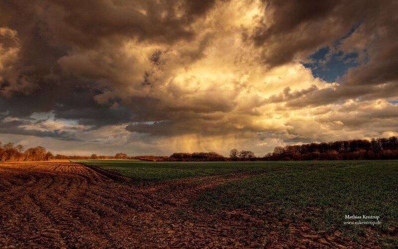 Field under Stormy Sky — Brown, Dramatic