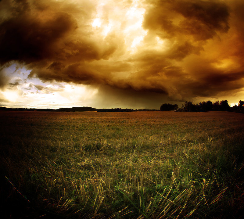 Field under Stormy Sky — Brown