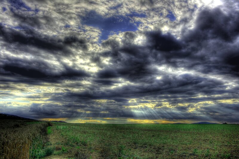 Field under Stormy Sky — Gray, Dramatic