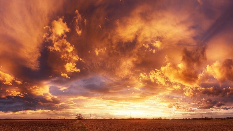 Field under Stormy Sky — Orange, Dramatic