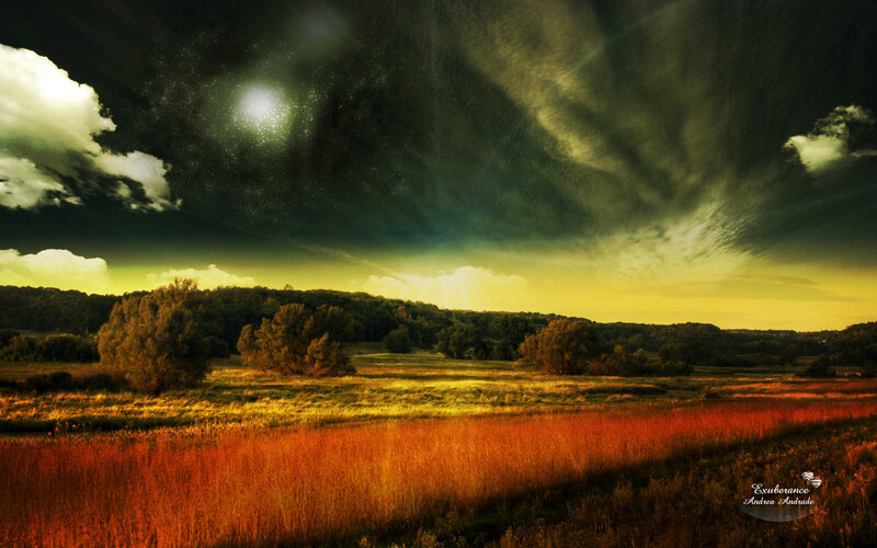 Field under Stormy Sky — Yellow, Dramatic