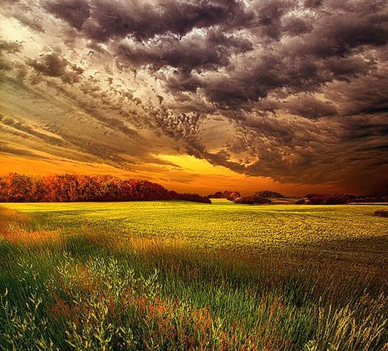 Field under Stormy Sky — Yellow