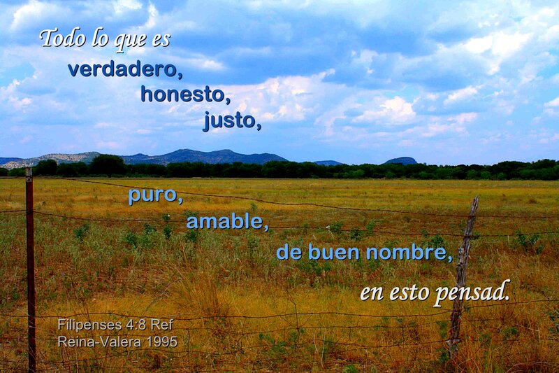 Field with Barbed Wire Fence — Blue